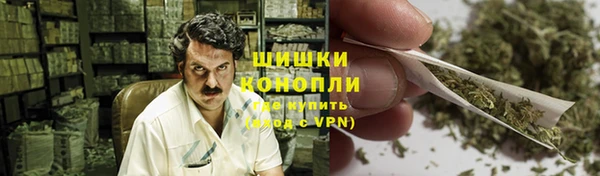 гидропоника Белоозёрский