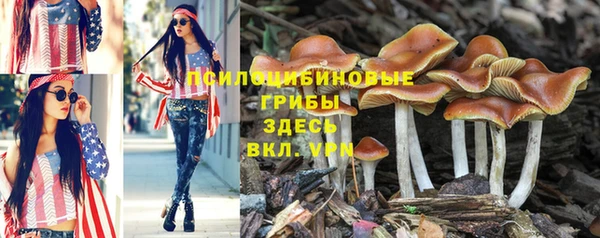 mdpv Беломорск