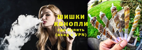 индика Балабаново