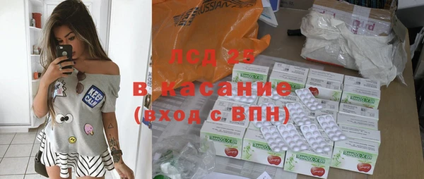 индика Балабаново