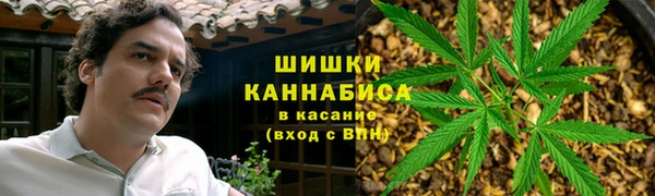 гидропоника Белоозёрский