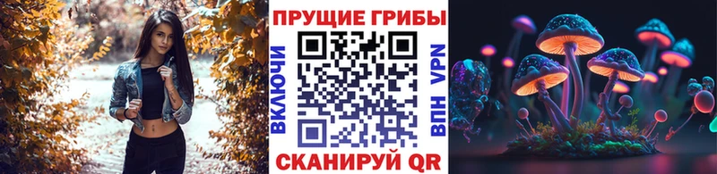 Псилоцибиновые грибы Magic Shrooms  где можно купить   Вяземский 